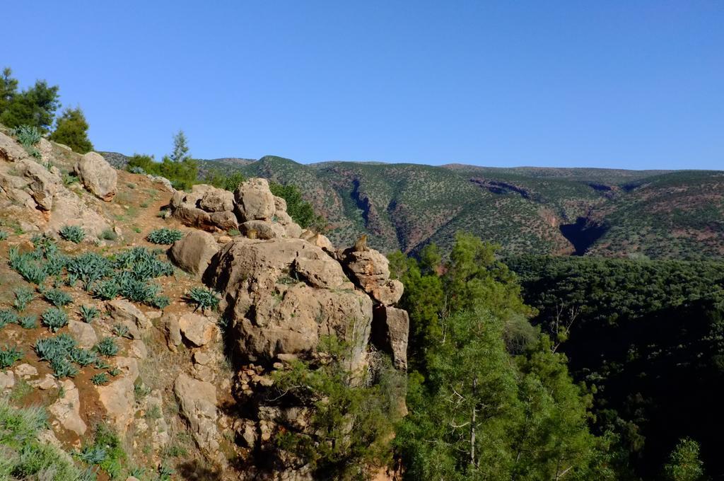 Riad Cascades D'أوزود المظهر الخارجي الصورة