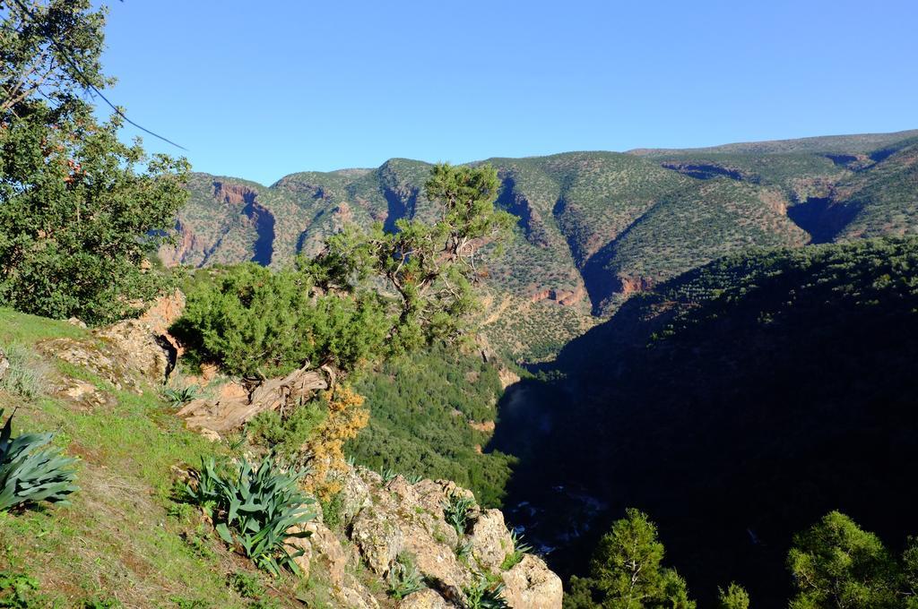 Riad Cascades D'أوزود المظهر الخارجي الصورة