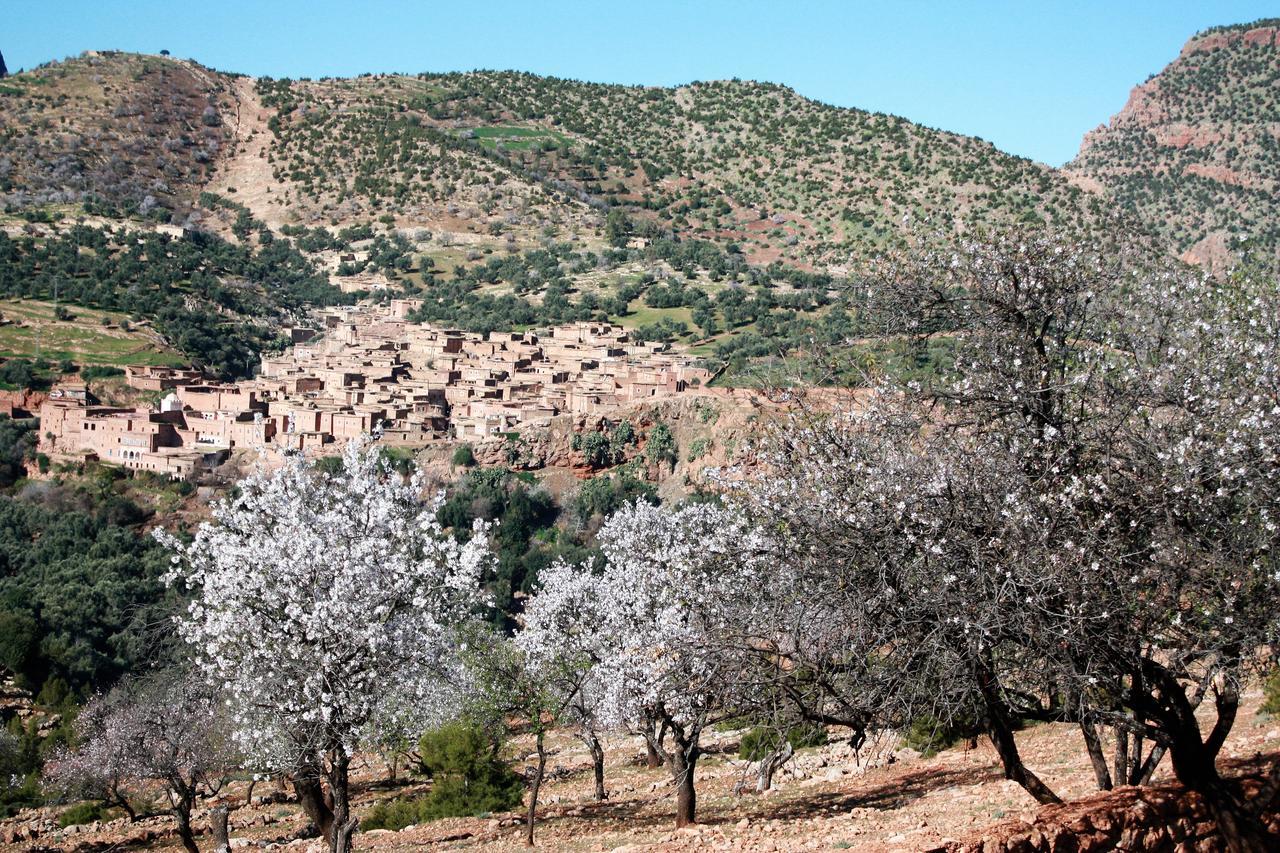 Riad Cascades D'أوزود المظهر الخارجي الصورة